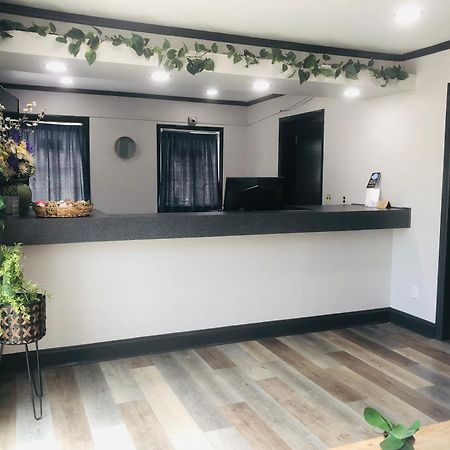 Raceway Inn دارلينغتون المظهر الخارجي الصورة